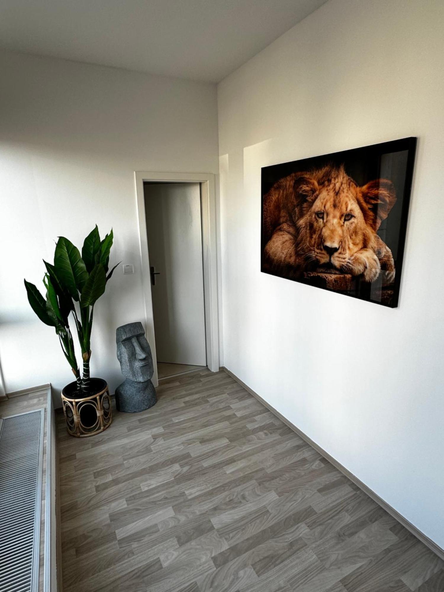 Luxury Penthouse At The Historical Centre With Free Parking Apartment Bratislava Exterior photo